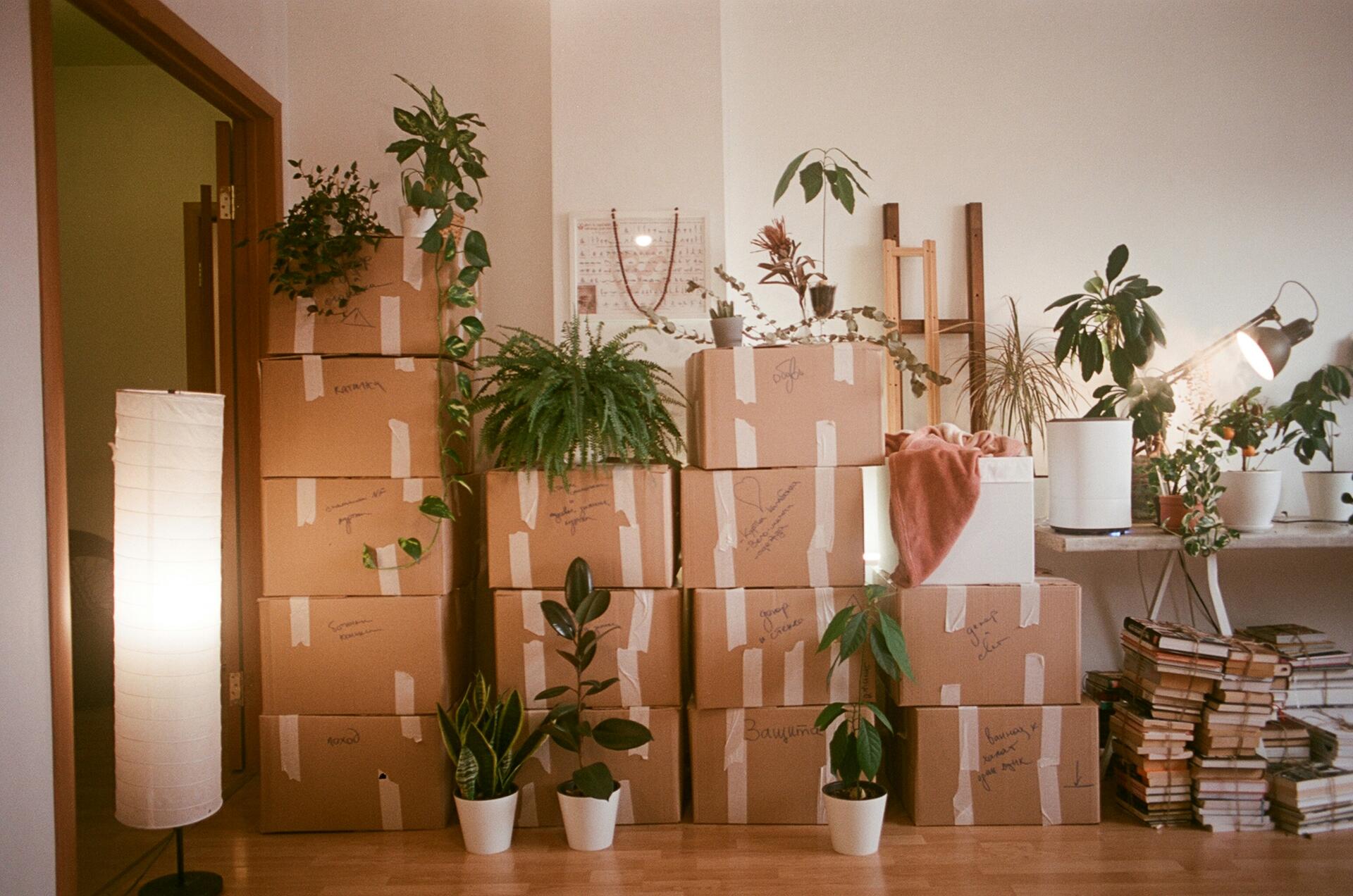 Commercial removalist and logistics team in Sydney